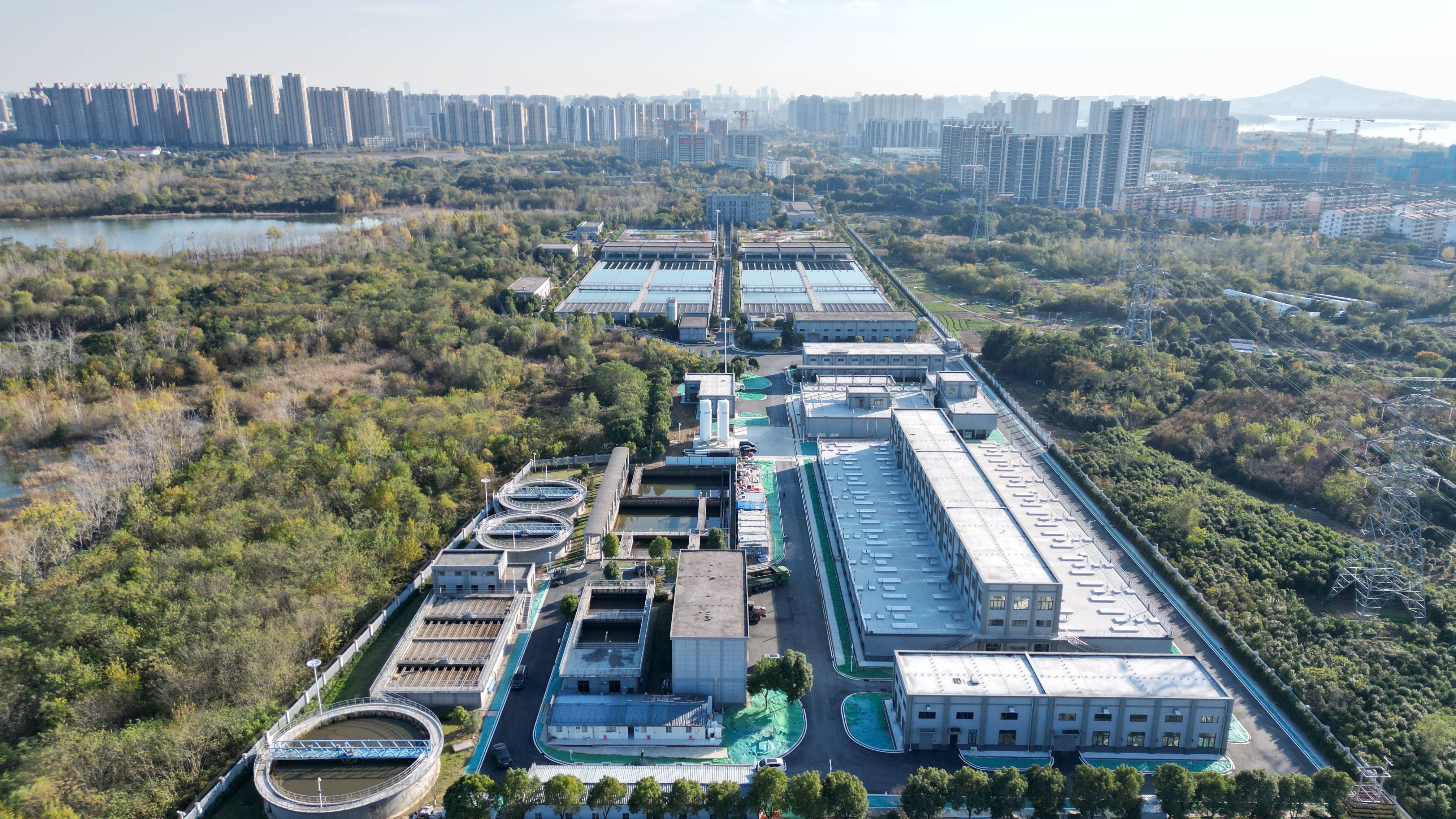 景洪市合肥专业企业价值增长(合肥市重点企业产业目录)