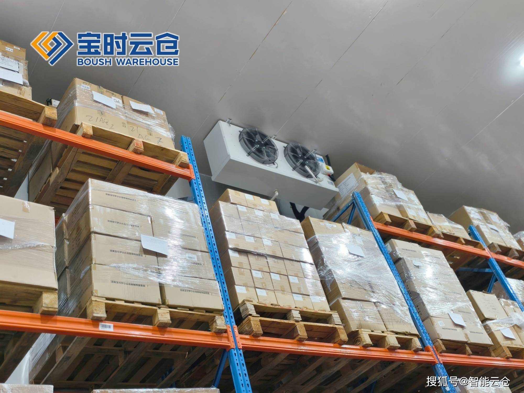 景洪市领先物流品牌升级(领先物流服务商是自营物流)
