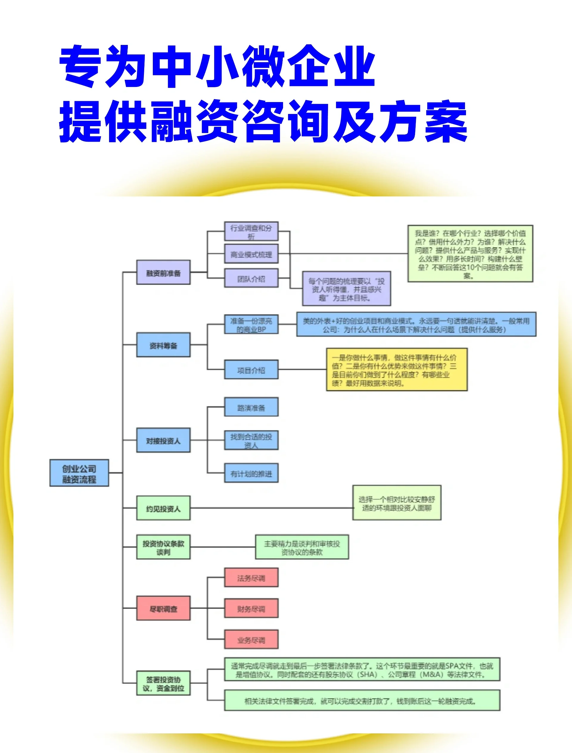 景洪市宠物企业资金管理(宠物管理机构叫什么)