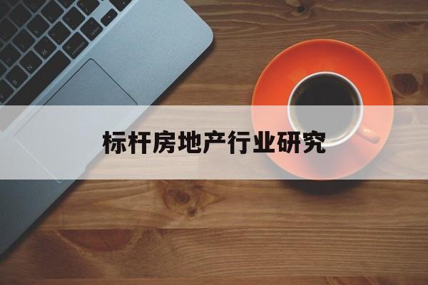 景洪市标杆房地产行业研究(房地产领域的标杆人物)