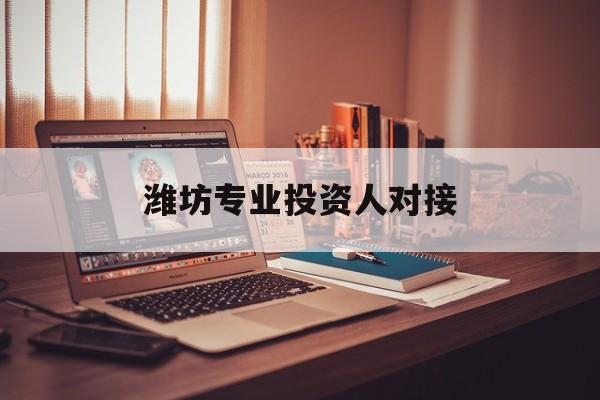 景洪市潍坊专业投资人对接(潍坊专业投资人对接中心)