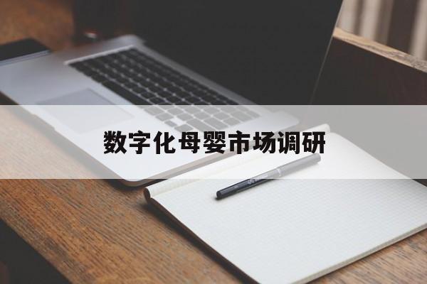 景洪市数字化母婴市场调研(数字化母婴市场调研报告)